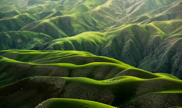 宁静的乡村小路风景